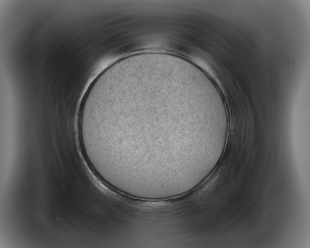 X0000086311482200704201952