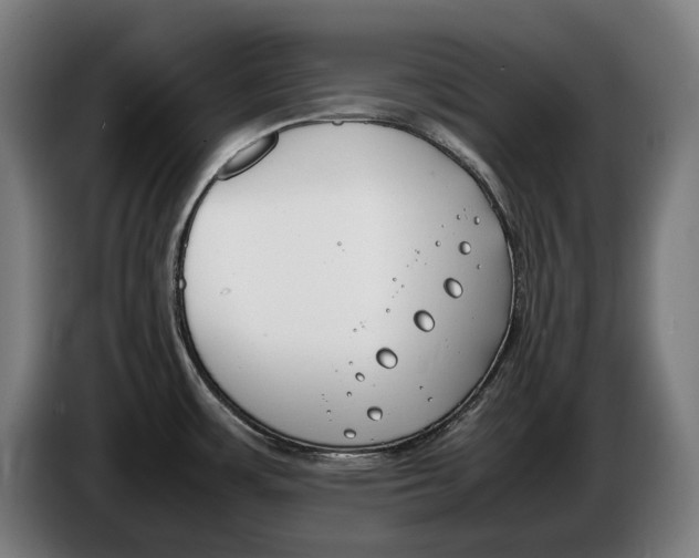 X0000086311483200704201952
