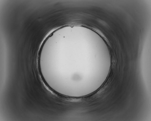 X0000086311484200704201952