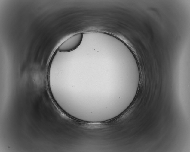 X0000086311486200704201952