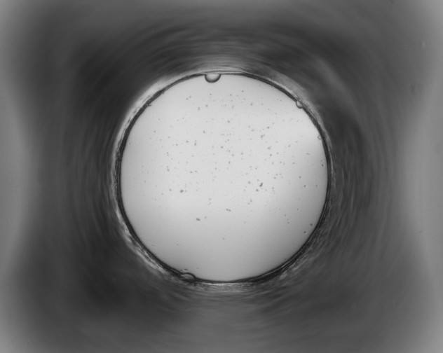 X0000086311488200704201952