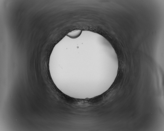 X0000086311489200704201952