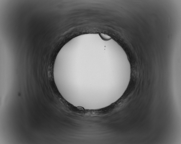 X0000086311490200704201952