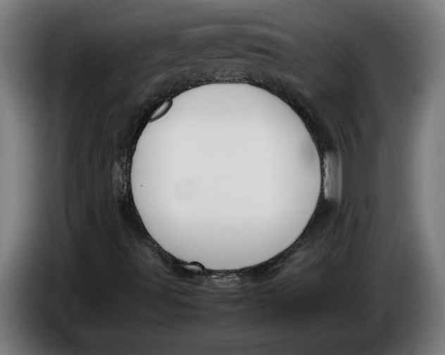 X0000086311491200704201952