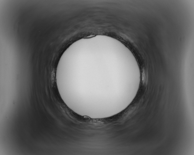 X0000086311492200704201952