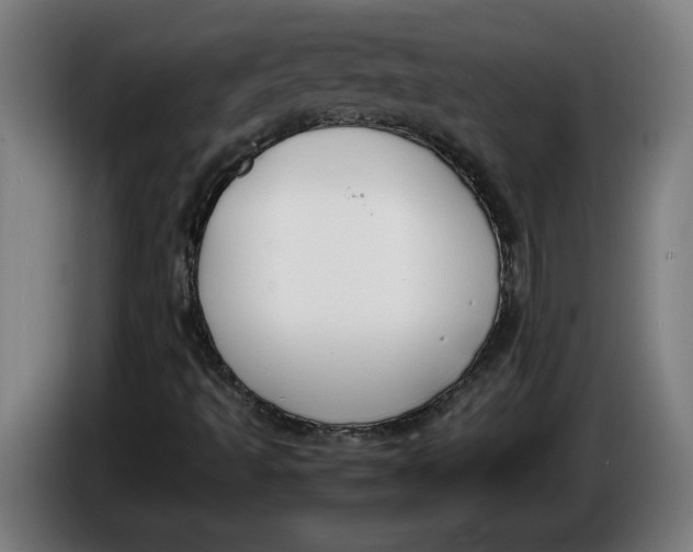 X0000086311493200704201952