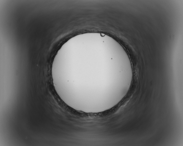 X0000086311494200704201952