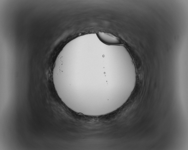 X0000086311495200704201952
