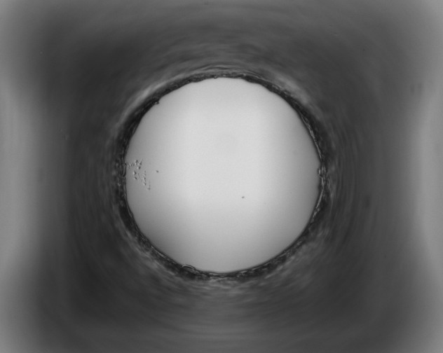 X0000086311496200704201952