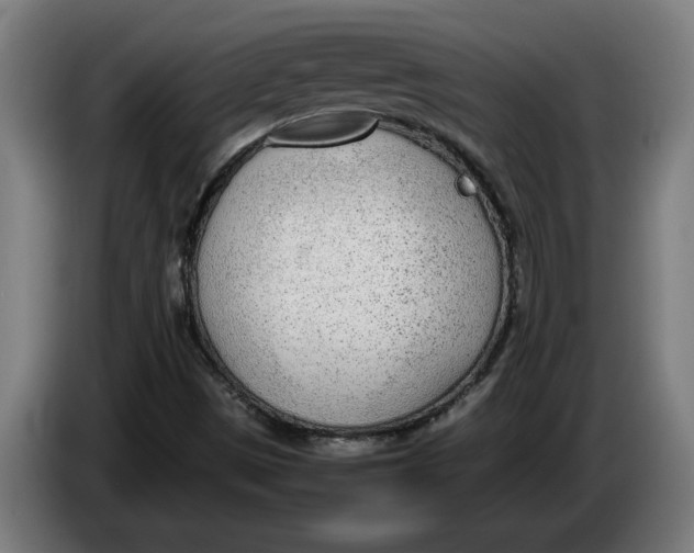 X0000086311497200704201952