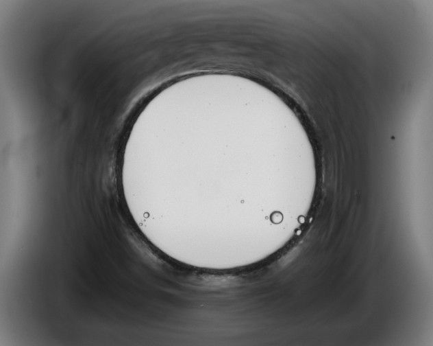 X0000086311498200704201952