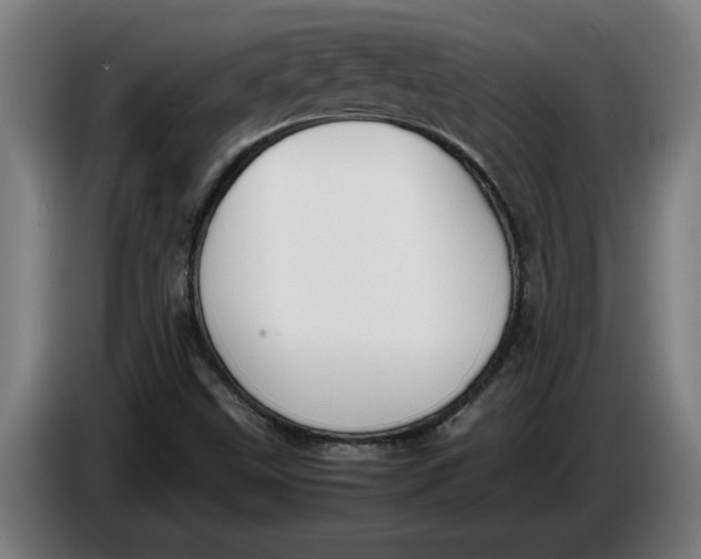 X0000086311499200704201952
