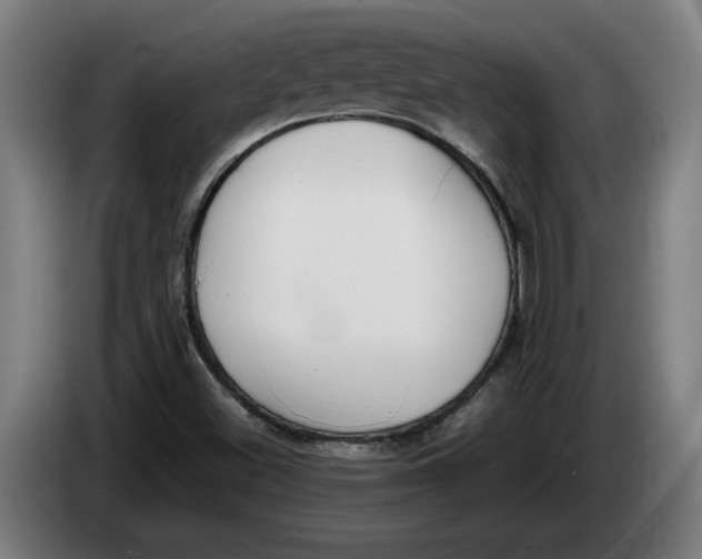 X0000086311500200704201952