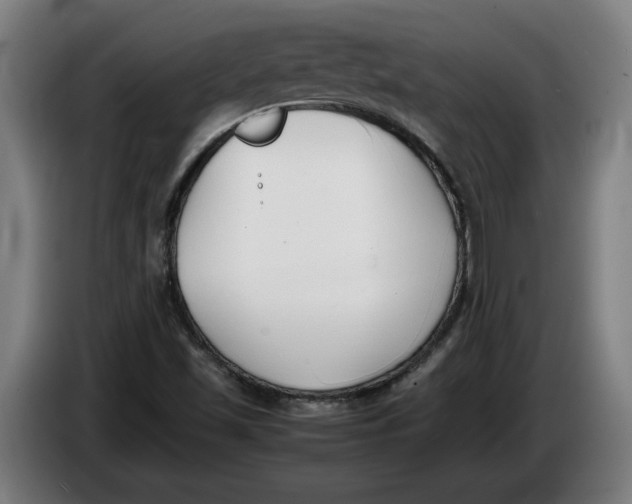 X0000086311501200704201952