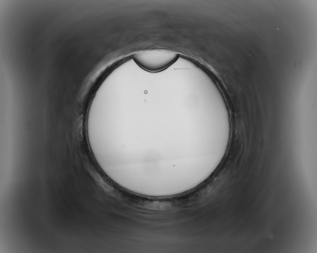 X0000086311503200704201952