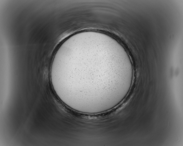 X0000086311505200704201952