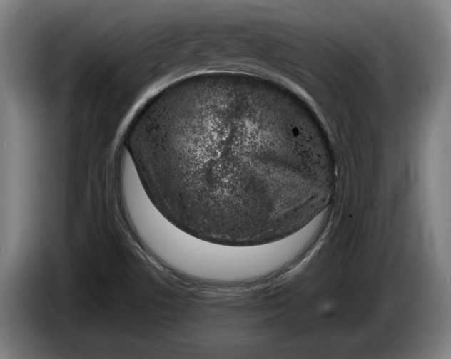 X0000086311506200704201952