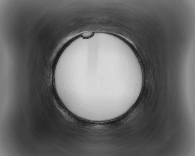 X0000086311507200704201952