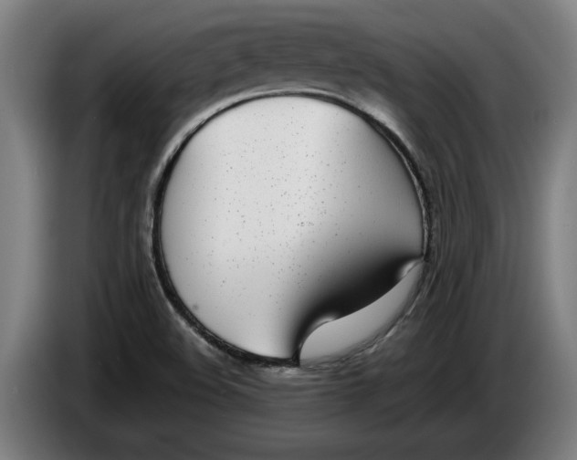 X0000086311508200704201952