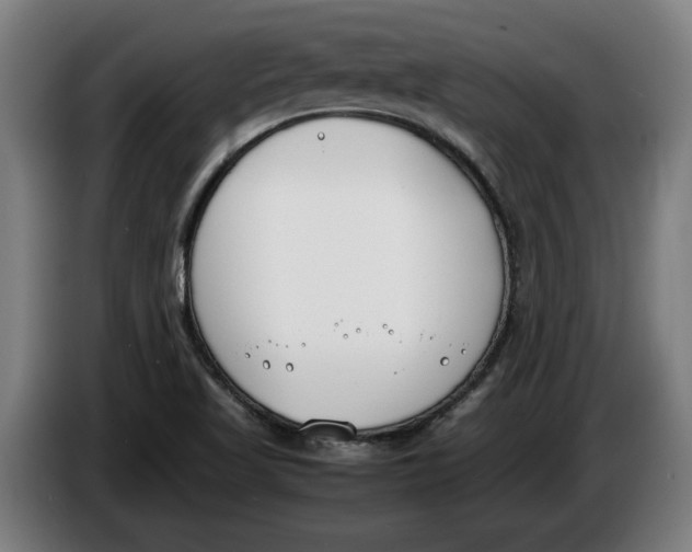X0000086311509200704201952