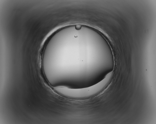 X0000086311510200704201952