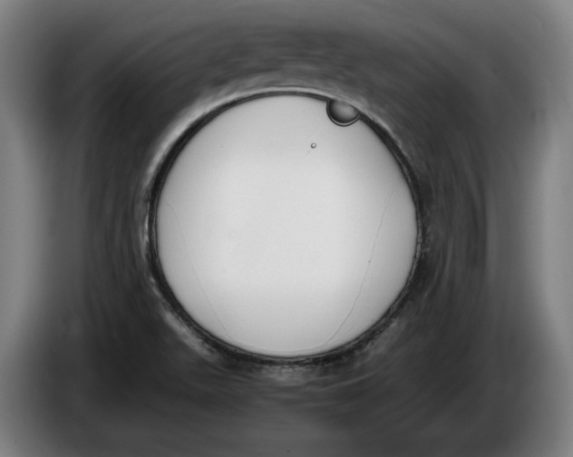 X0000086311511200704201952