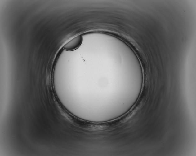 X0000086311513200704201952