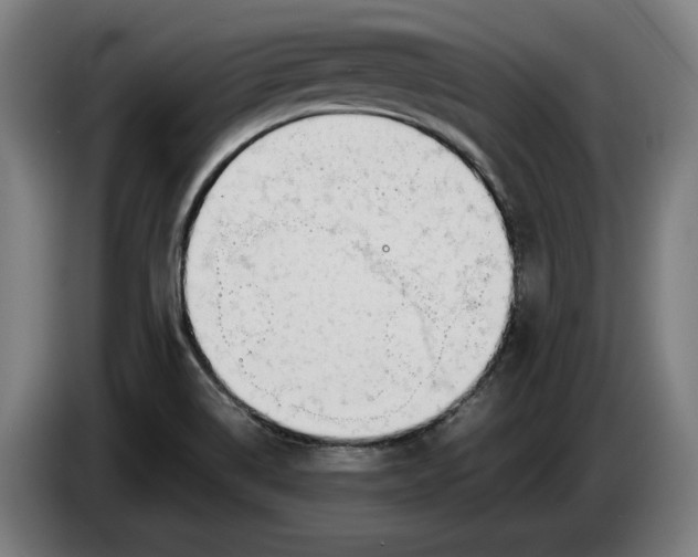X0000086311514200704201952