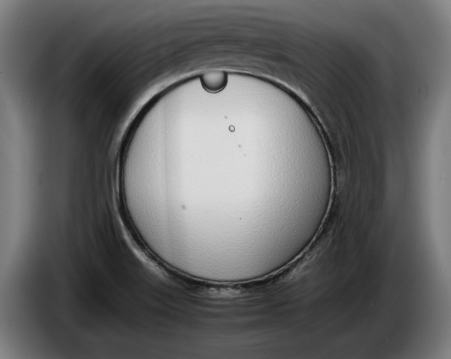 X0000086311515200704201952
