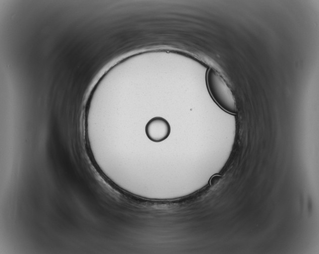X0000086311516200704201952