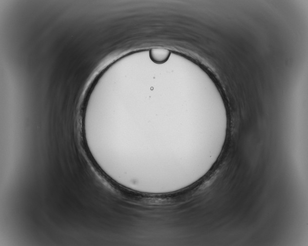 X0000086311517200704201952