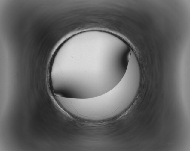 X0000086311518200704201952