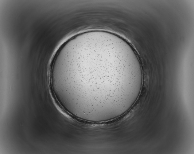 X0000086311519200704201952