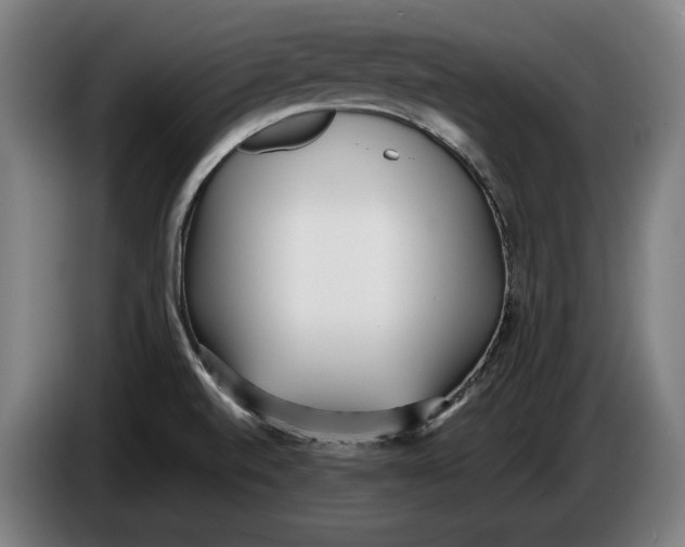 X0000086311520200704201952