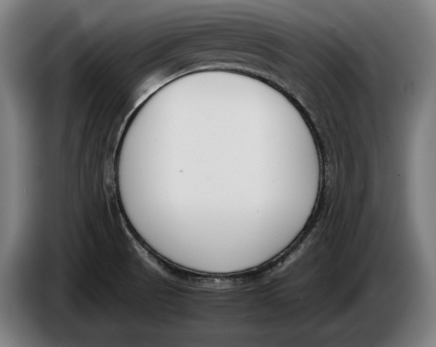 X0000086311521200704201952