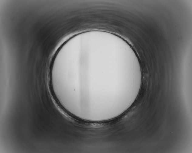 X0000086311523200704201952