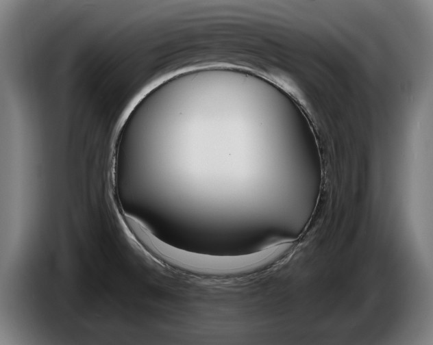 X0000086311524200704201952