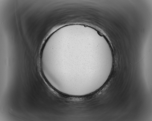 X0000086311525200704201952