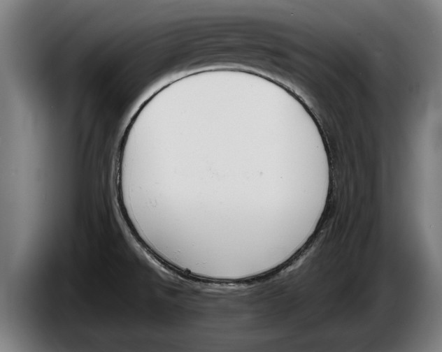 X0000086311526200704201952
