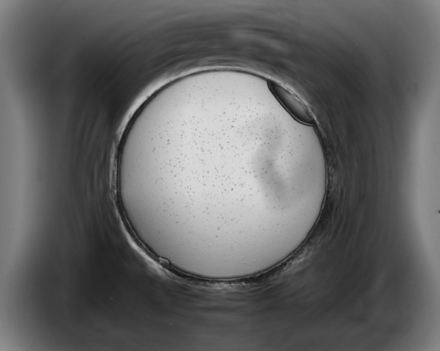 X0000086311527200704201952
