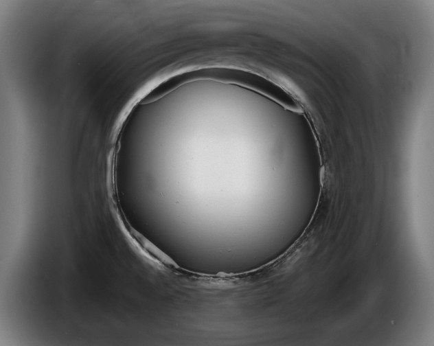 X0000086311528200704201952