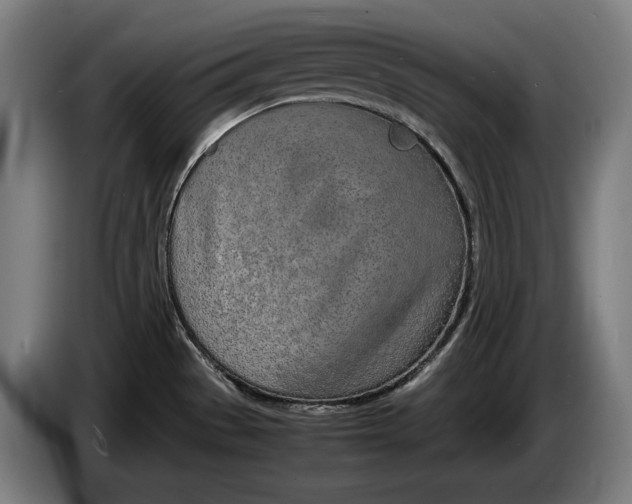 X0000086311529200704201952