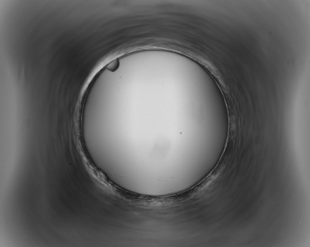 X0000086311530200704201952