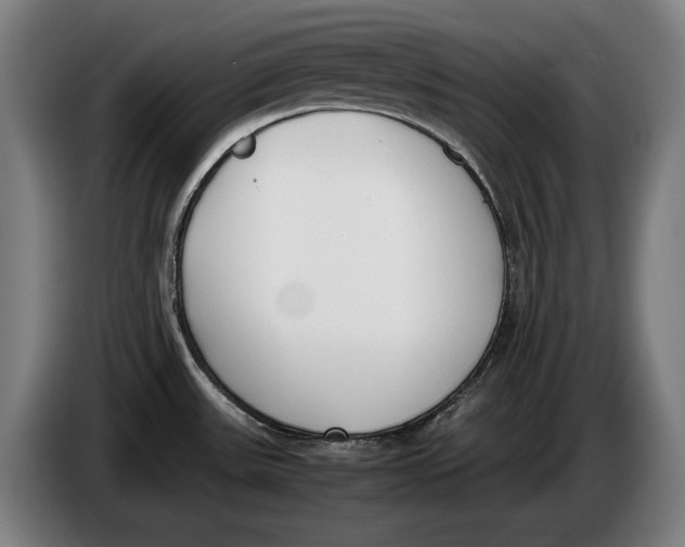 X0000086311531200704201952