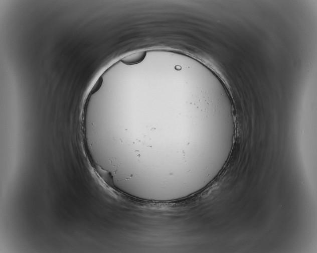 X0000086311532200704201952