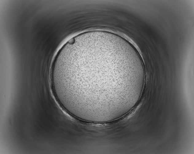 X0000086311533200704201952