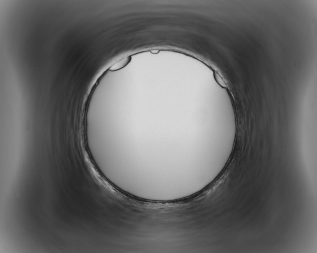 X0000086311534200704201952
