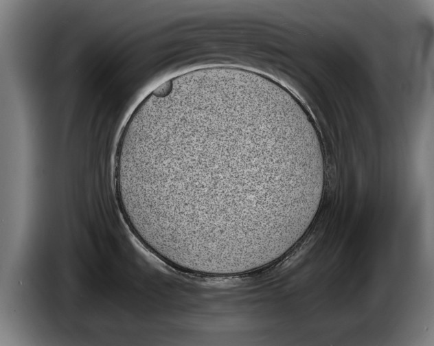 X0000086311535200704201952