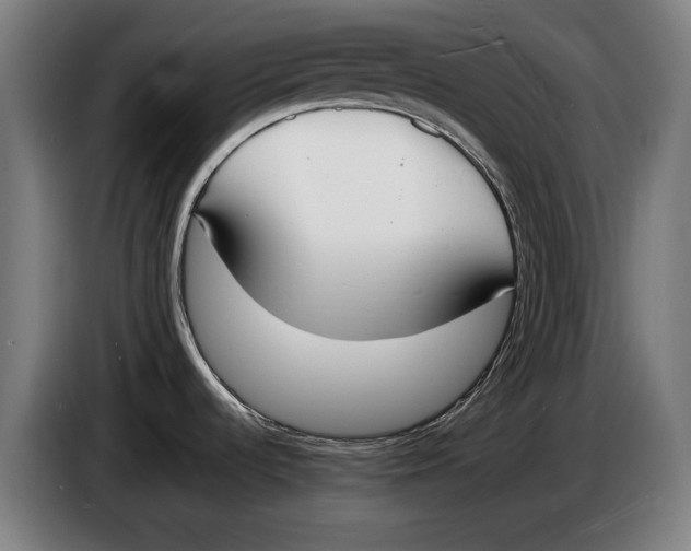 X0000086311536200704201952