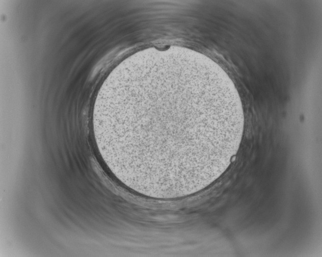 X0000086310002200704271904